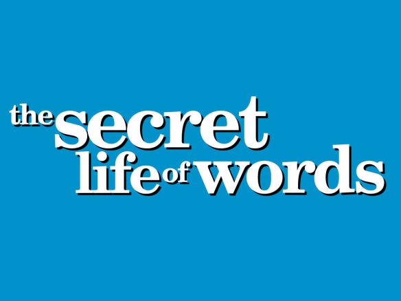 The Secret Life of Words (2005) Isabel Coixet Synopsis